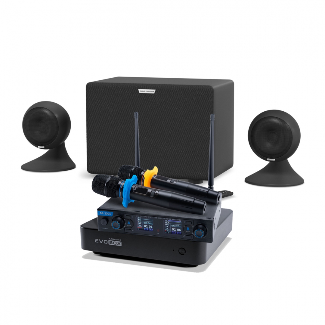 караоке-комплект EVOBOX + EvoSound Sphere 2.1 в Ярославле