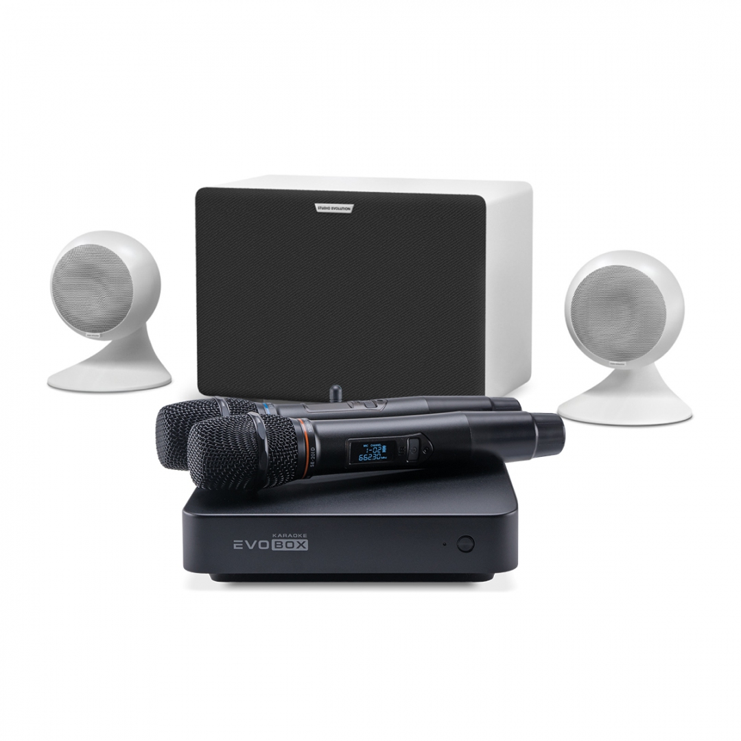 караоке-комплект EVOBOX Classic + EvoSound Sphere 2.1 в Ярославле