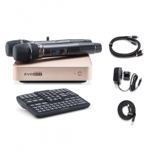 EVOBOX Plus караоке-система для дома в Ярославле